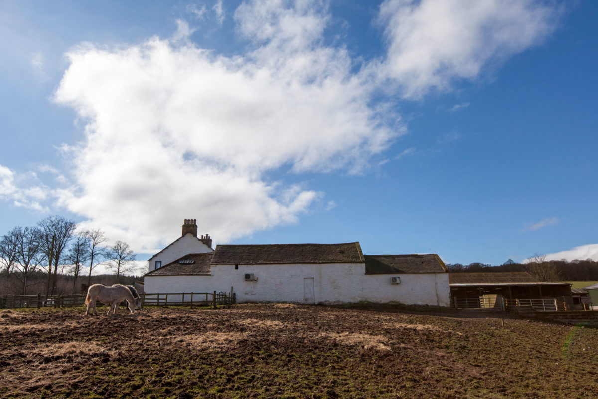 44flavours — Spring Fling Rural Mural 2016 — Scotland