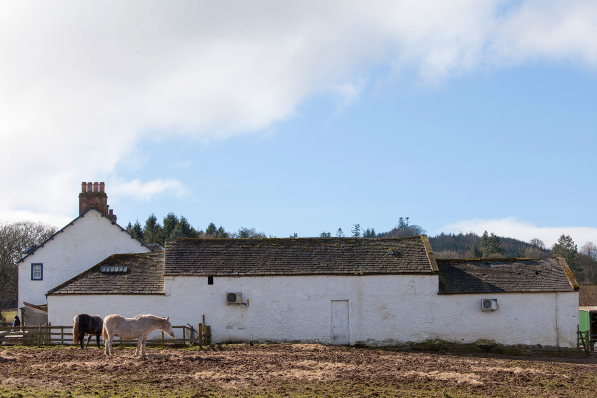 44flavours — Spring Fling Rural Mural 2016 — Scotland